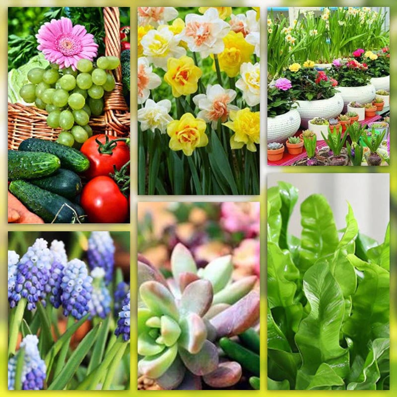 Long-lasting plant food sticks