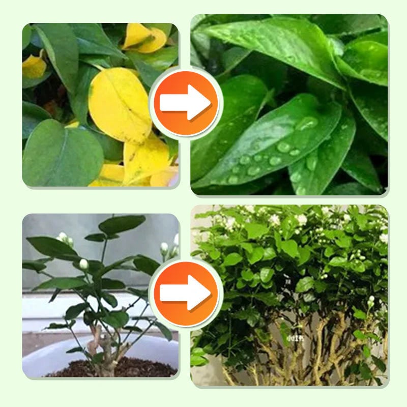 Long-lasting plant food sticks