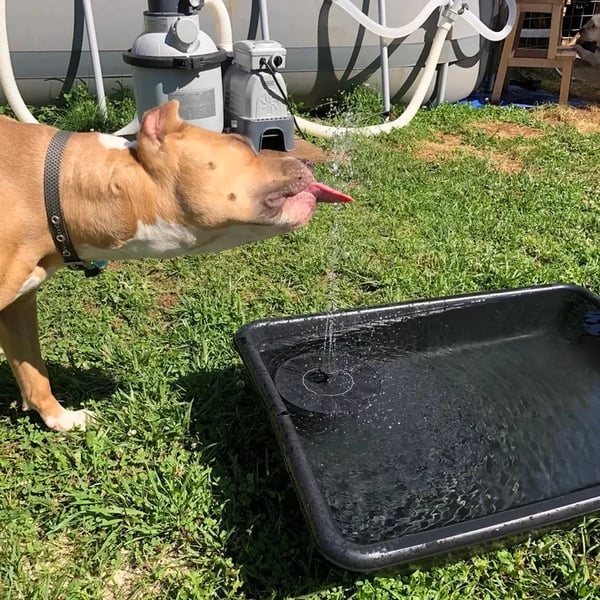 2026 New Upgraded Solar Powered Fountain for Outdoor