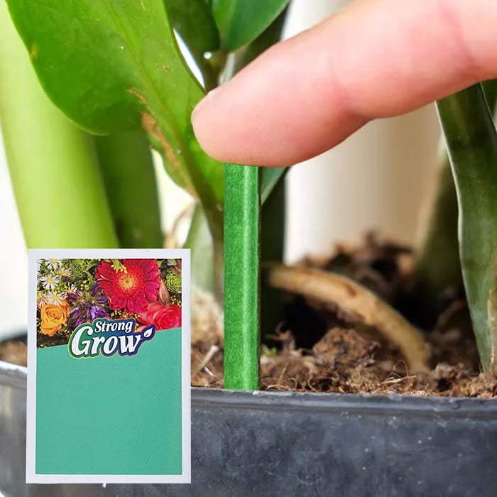 Long-lasting plant food sticks