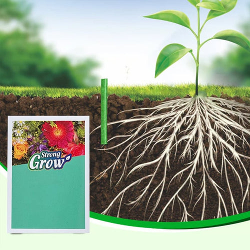 Long-lasting plant food sticks