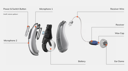 Smart Self-Fitting Hearing Aids